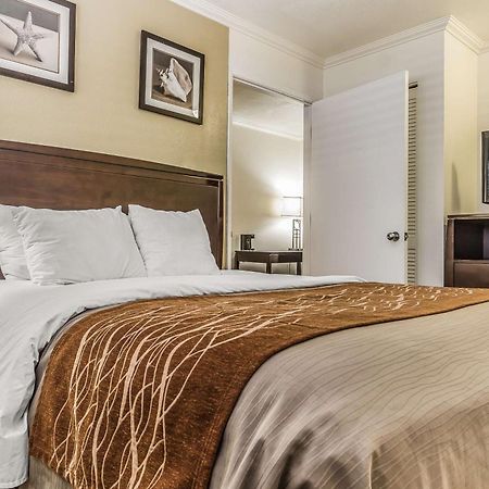 Comfort Inn Santa Cruz Ngoại thất bức ảnh