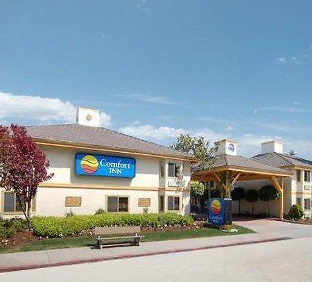 Comfort Inn Santa Cruz Ngoại thất bức ảnh