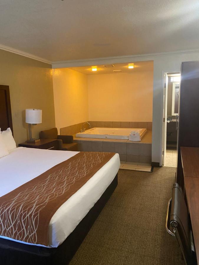 Comfort Inn Santa Cruz Ngoại thất bức ảnh
