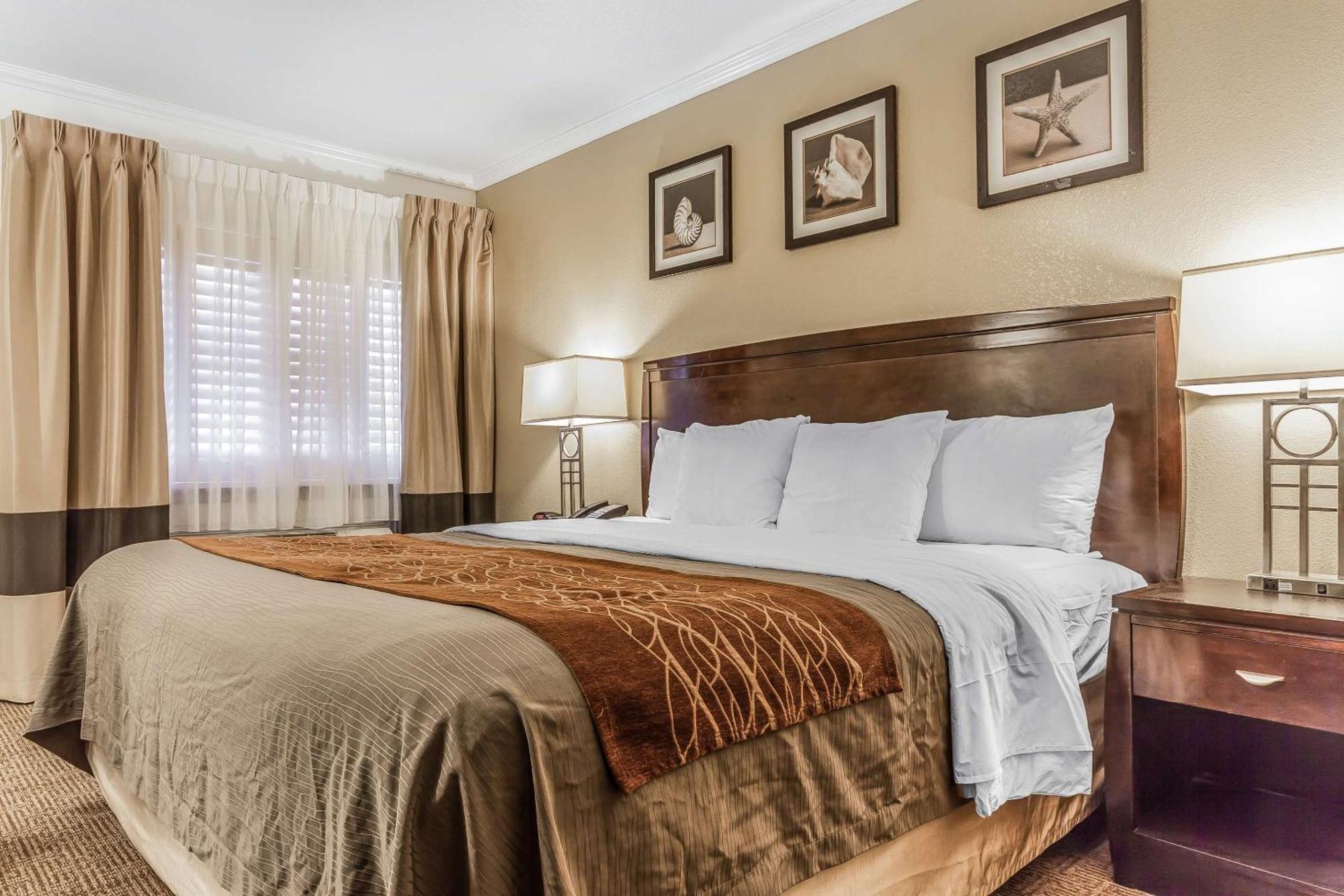 Comfort Inn Santa Cruz Ngoại thất bức ảnh