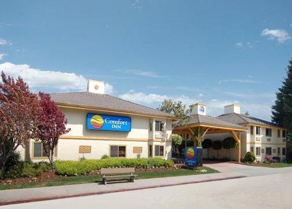 Comfort Inn Santa Cruz Ngoại thất bức ảnh